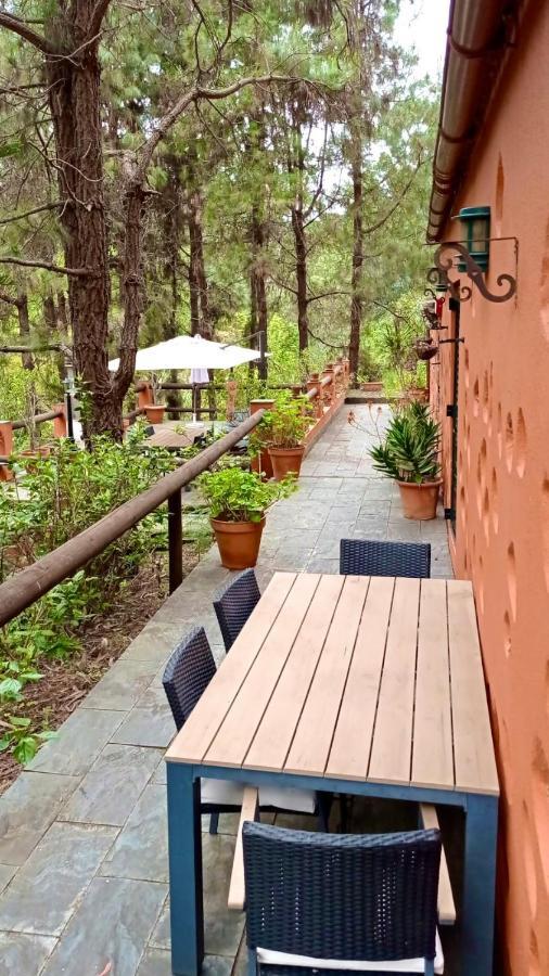 Casa Rural En Medio Del Bosque, El Lance Firgas Exterior foto