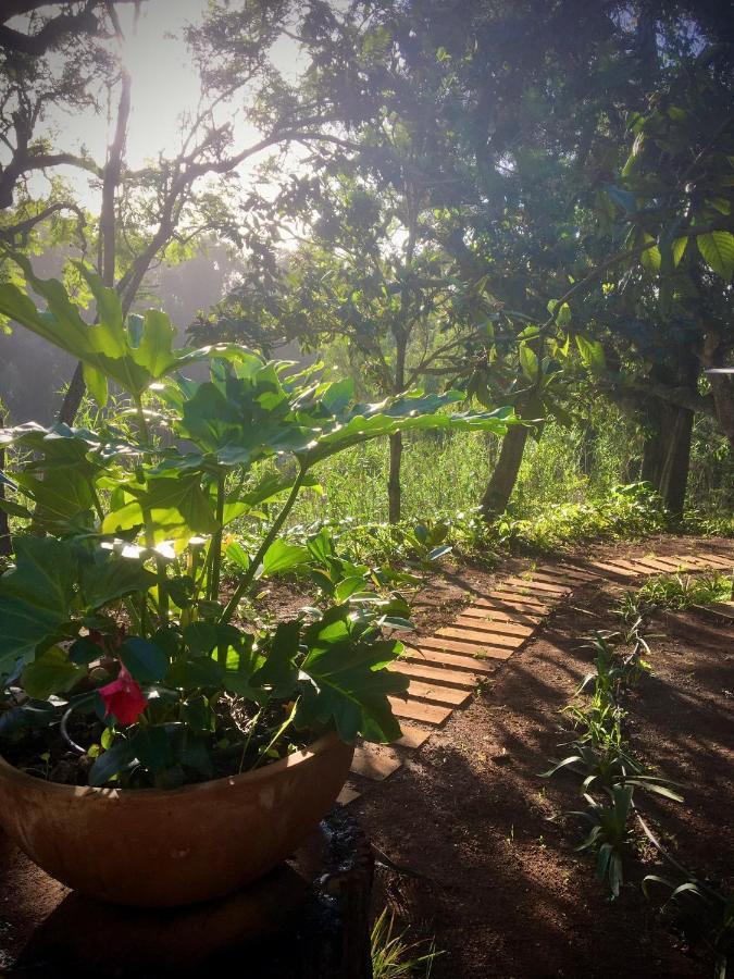 Casa Rural En Medio Del Bosque, El Lance Firgas Exterior foto