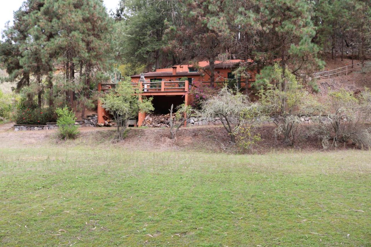 Casa Rural En Medio Del Bosque, El Lance Firgas Exterior foto