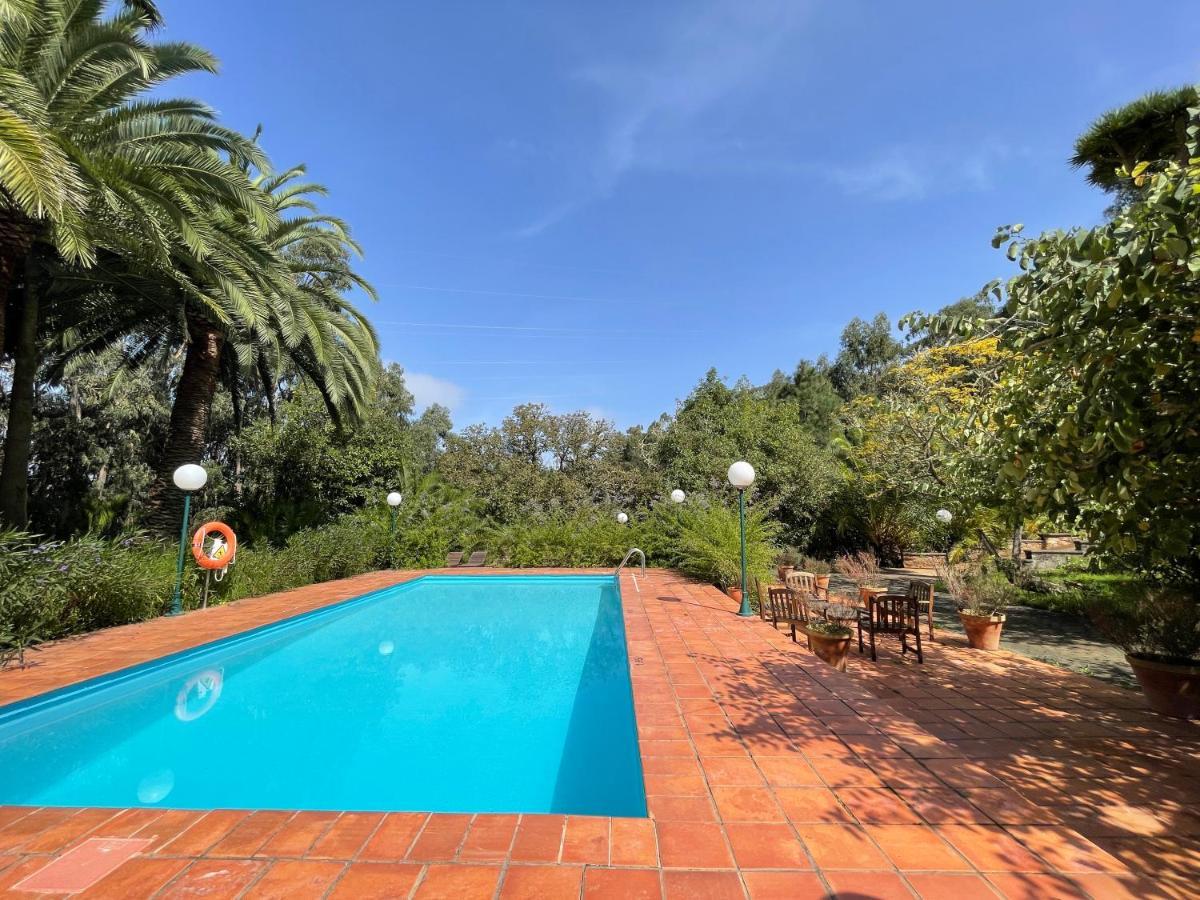 Casa Rural En Medio Del Bosque, El Lance Firgas Exterior foto
