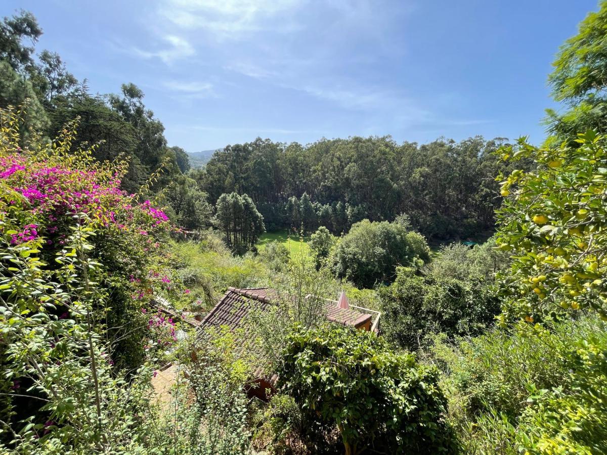 Casa Rural En Medio Del Bosque, El Lance Firgas Exterior foto