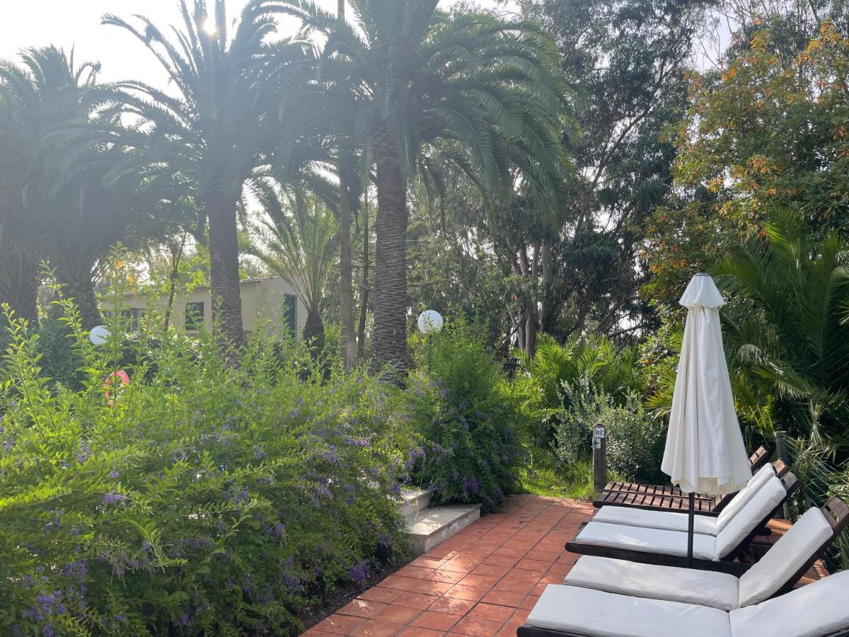 Casa Rural En Medio Del Bosque, El Lance Firgas Exterior foto