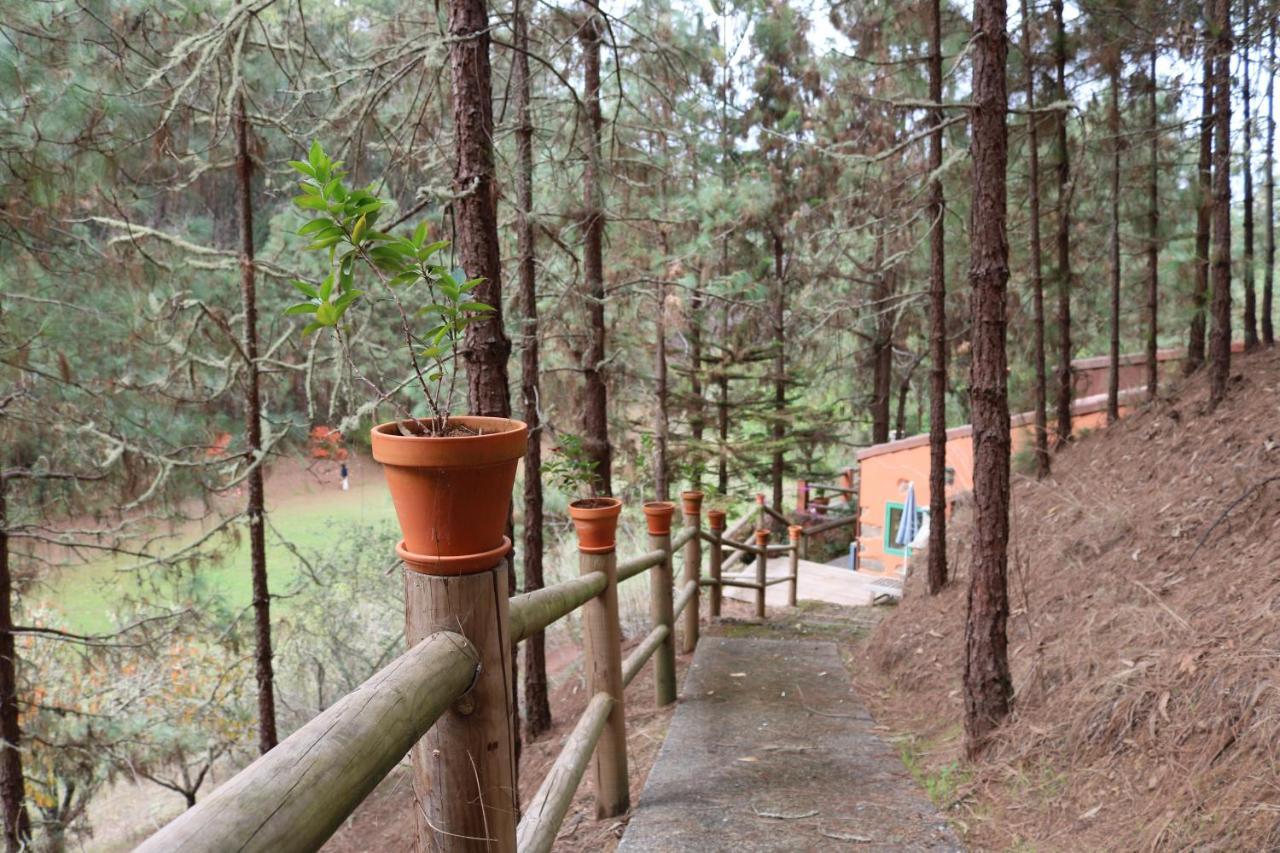 Casa Rural En Medio Del Bosque, El Lance Firgas Exterior foto