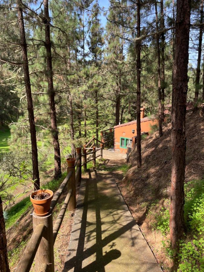 Casa Rural En Medio Del Bosque, El Lance Firgas Exterior foto