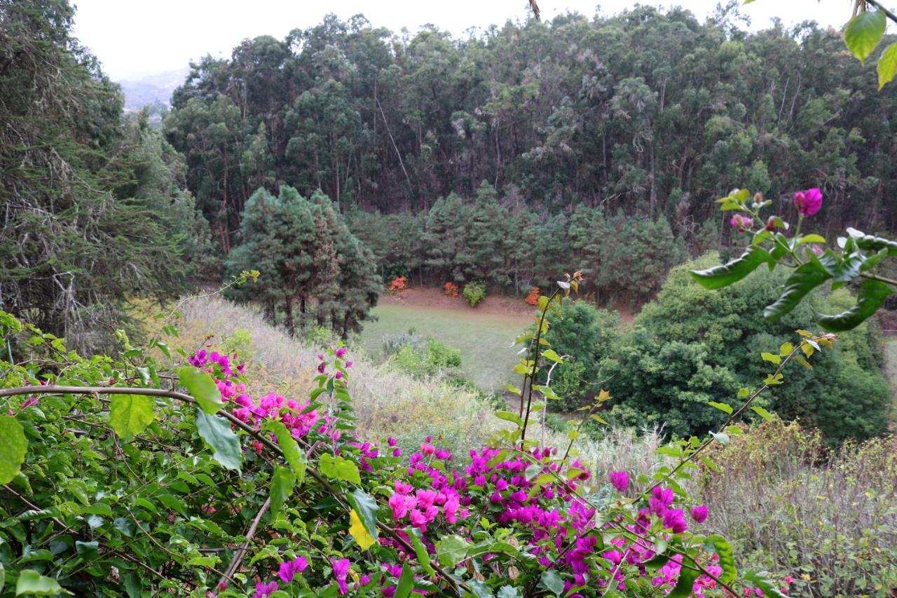 Casa Rural En Medio Del Bosque, El Lance Firgas Exterior foto