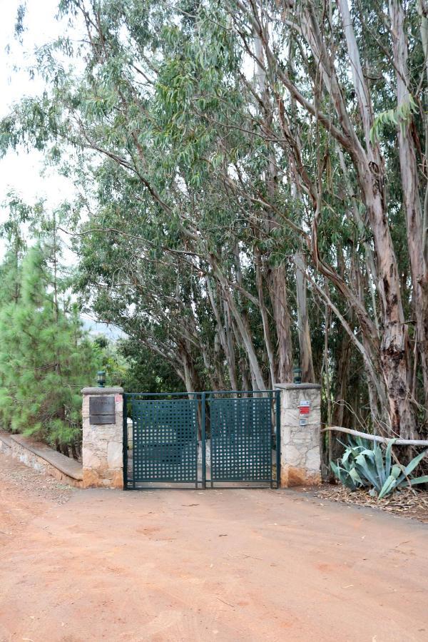 Casa Rural En Medio Del Bosque, El Lance Firgas Exterior foto